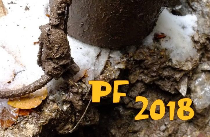 pf SSS e1513601834528