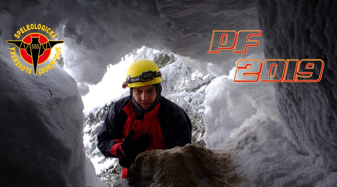 D82F6CD3 2170 4E98 89C6 1D5389DE2D0D e1545304667578